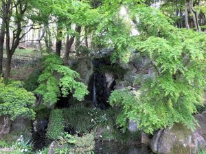 薬師池公園の滝