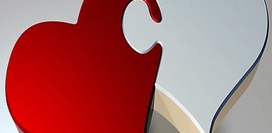 サバイバルウエディング7