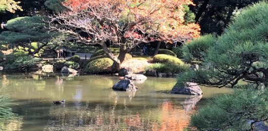旧古河庭園